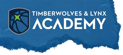 timberwolves basketball academy